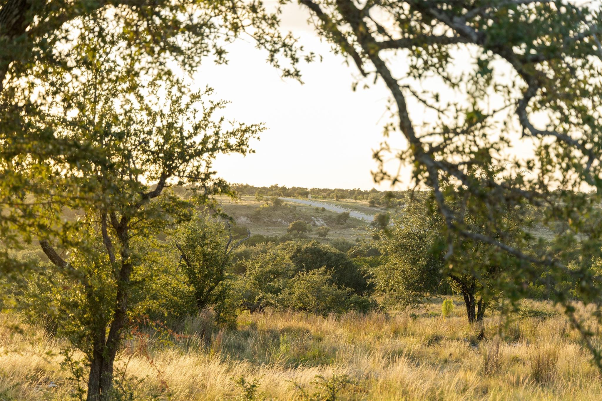 Lot 68 W Leaning Madrone Dr Property Photo 1