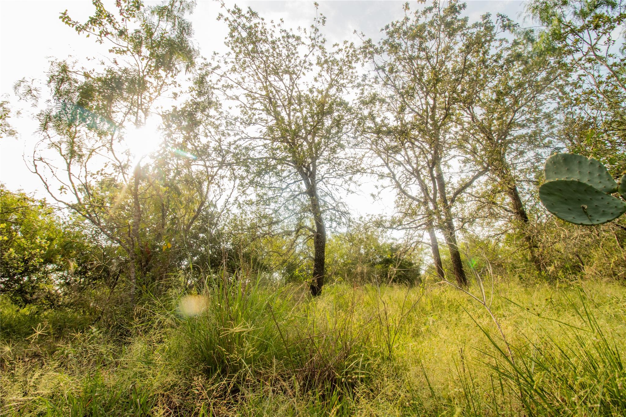 6562 Cross Rd Property Photo 1