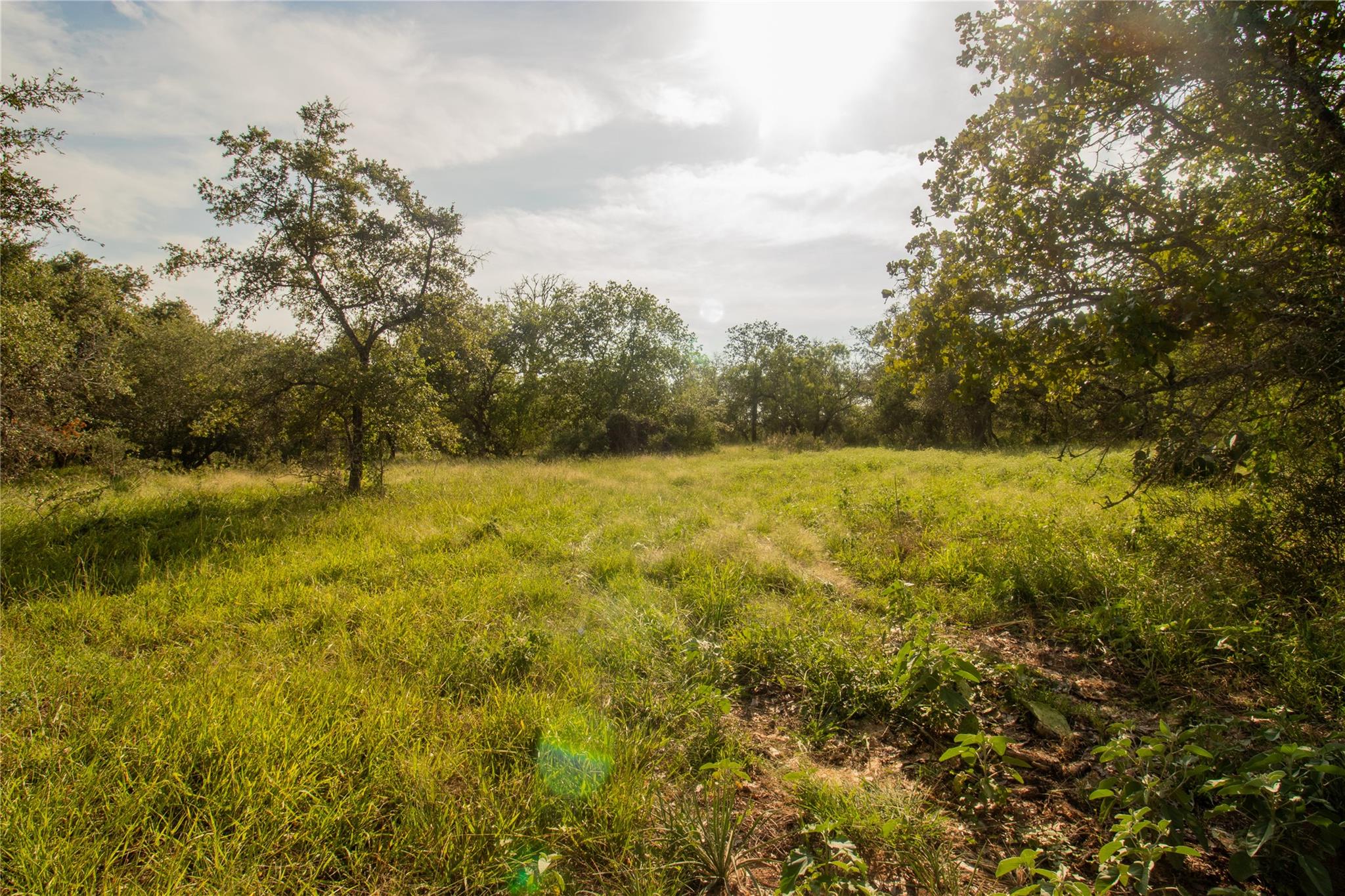 6562 Cross Rd Property Photo 3