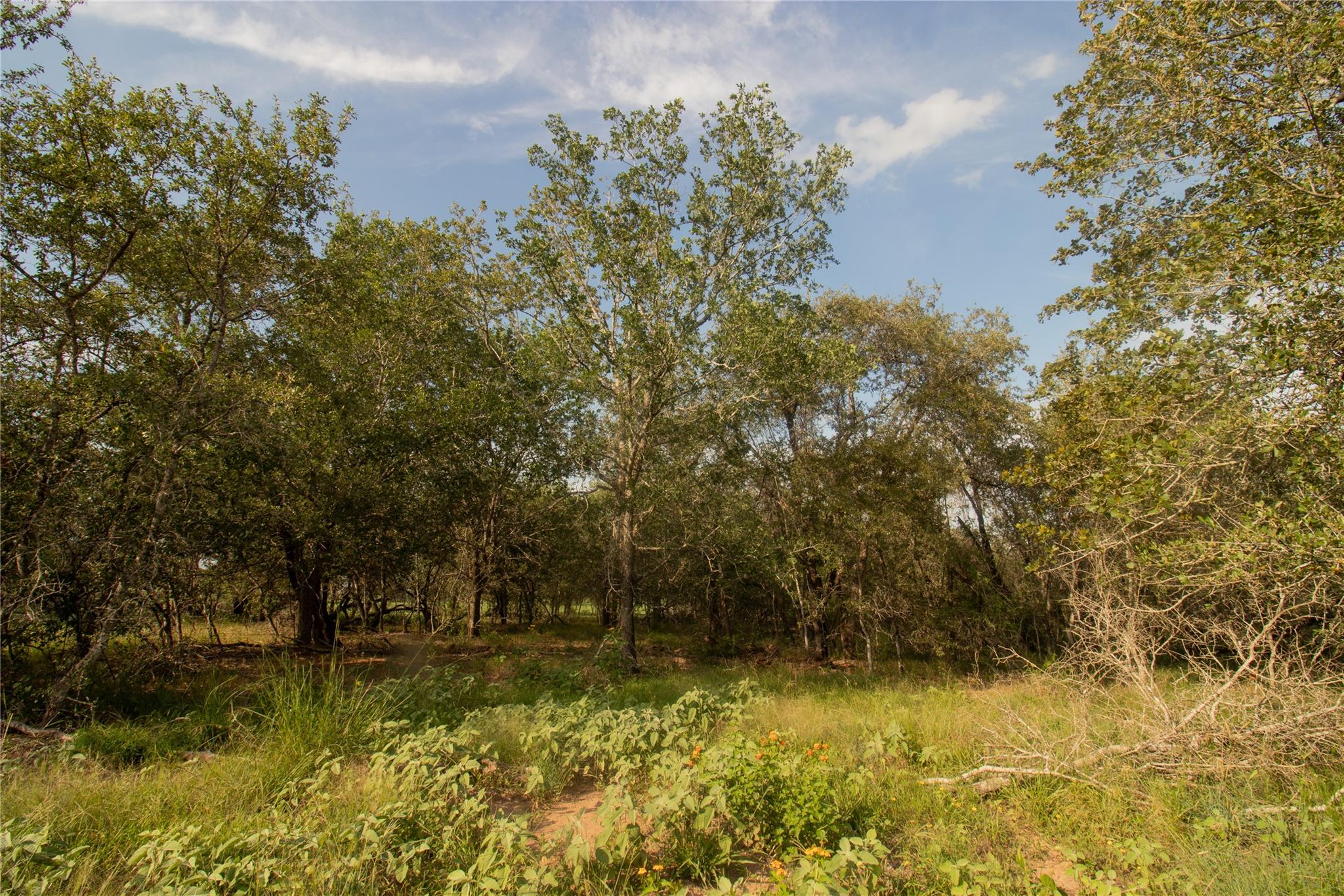 6562 Cross Rd Property Photo 7