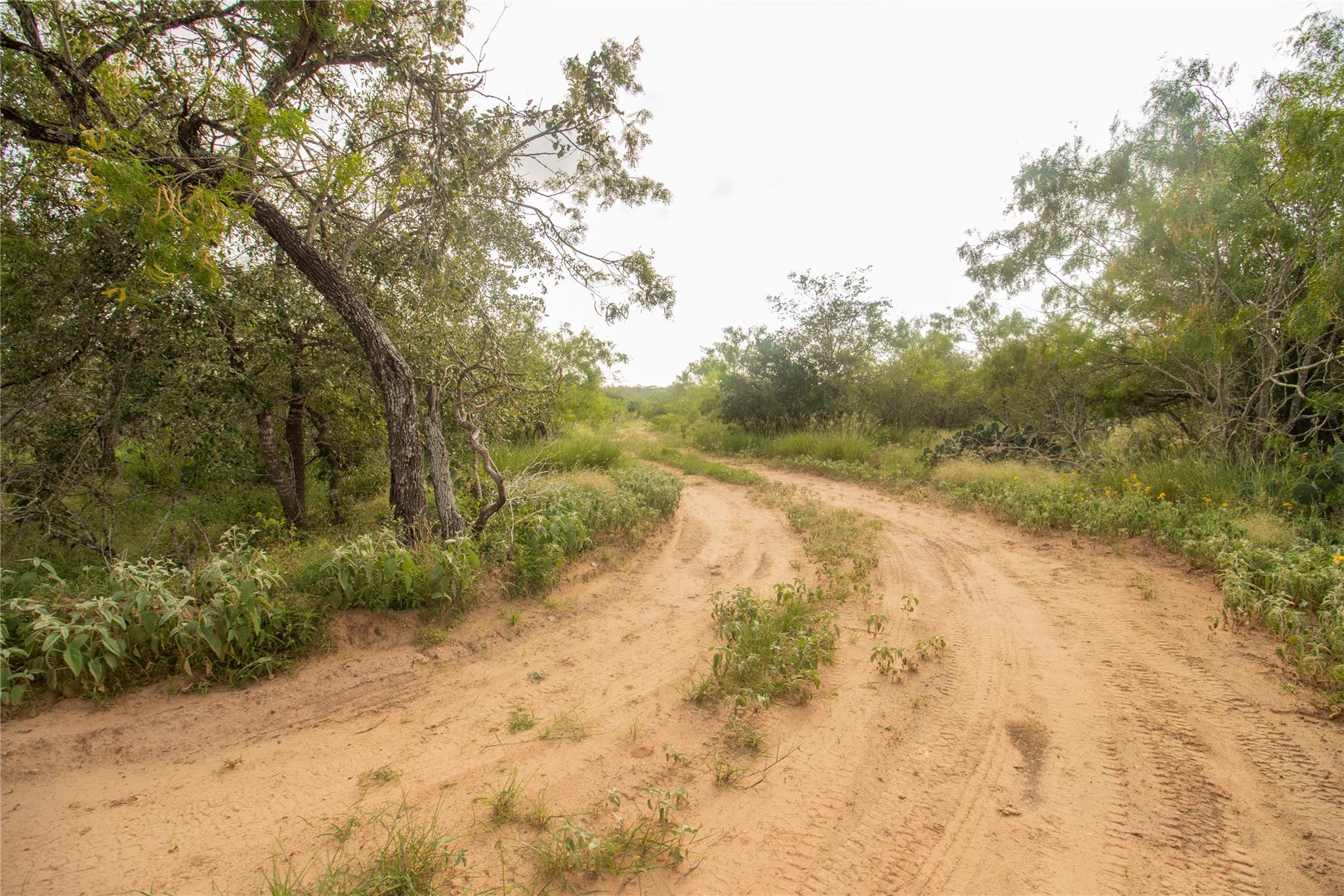 6562 Cross Rd Property Photo 8