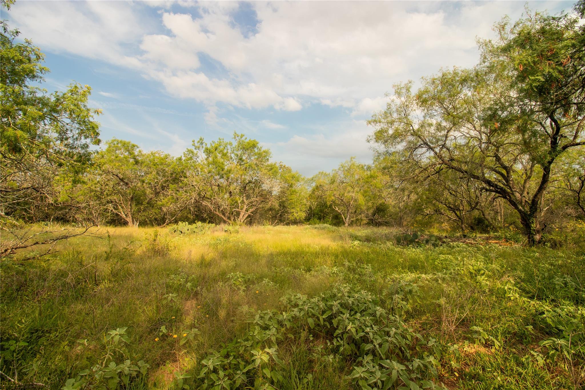 6562 Cross Rd Property Photo 9