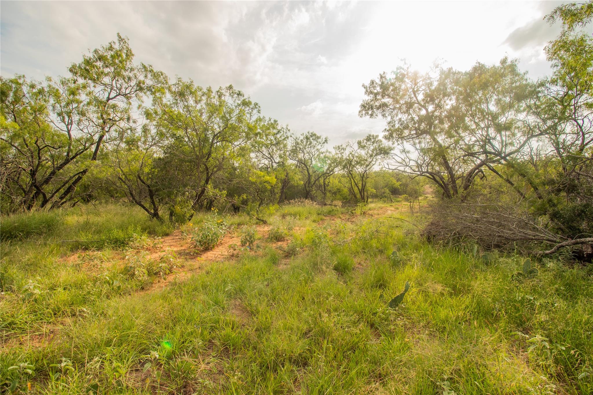 6562 Cross Rd Property Photo 10