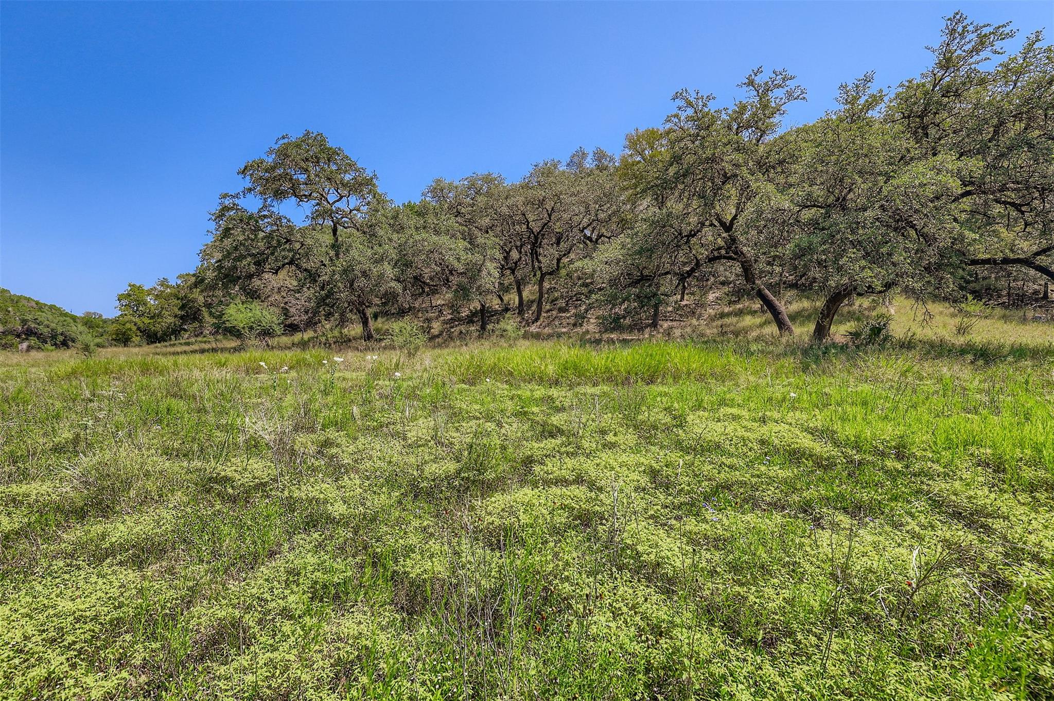 Lot 14-a Carol Cv Property Photo 5