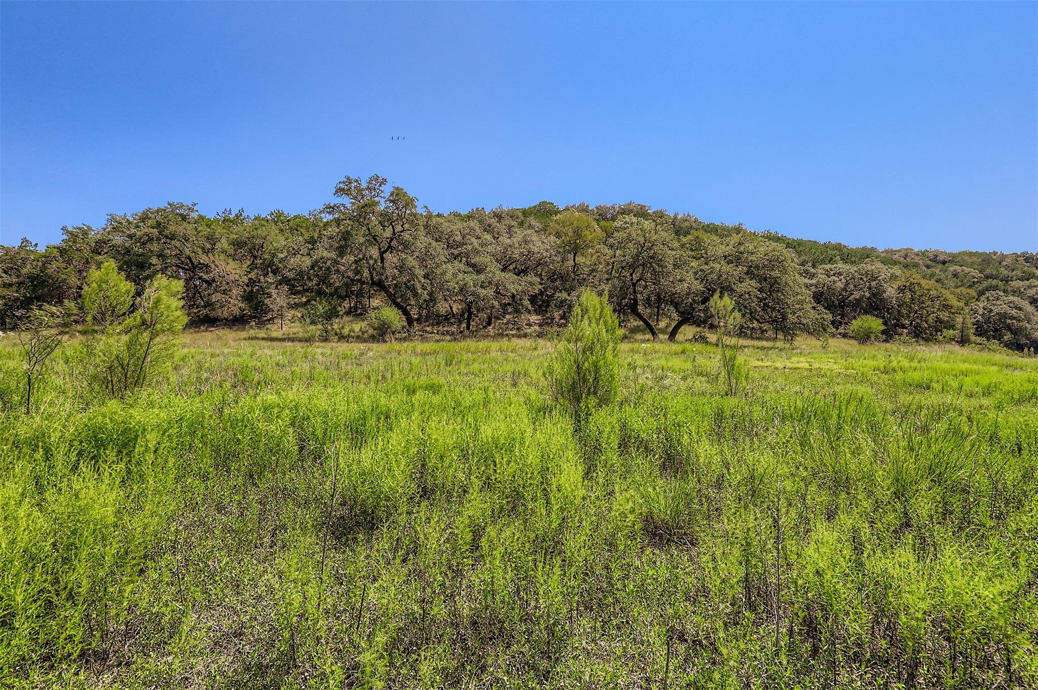 Lot 14-a Carol Cv Property Photo 13