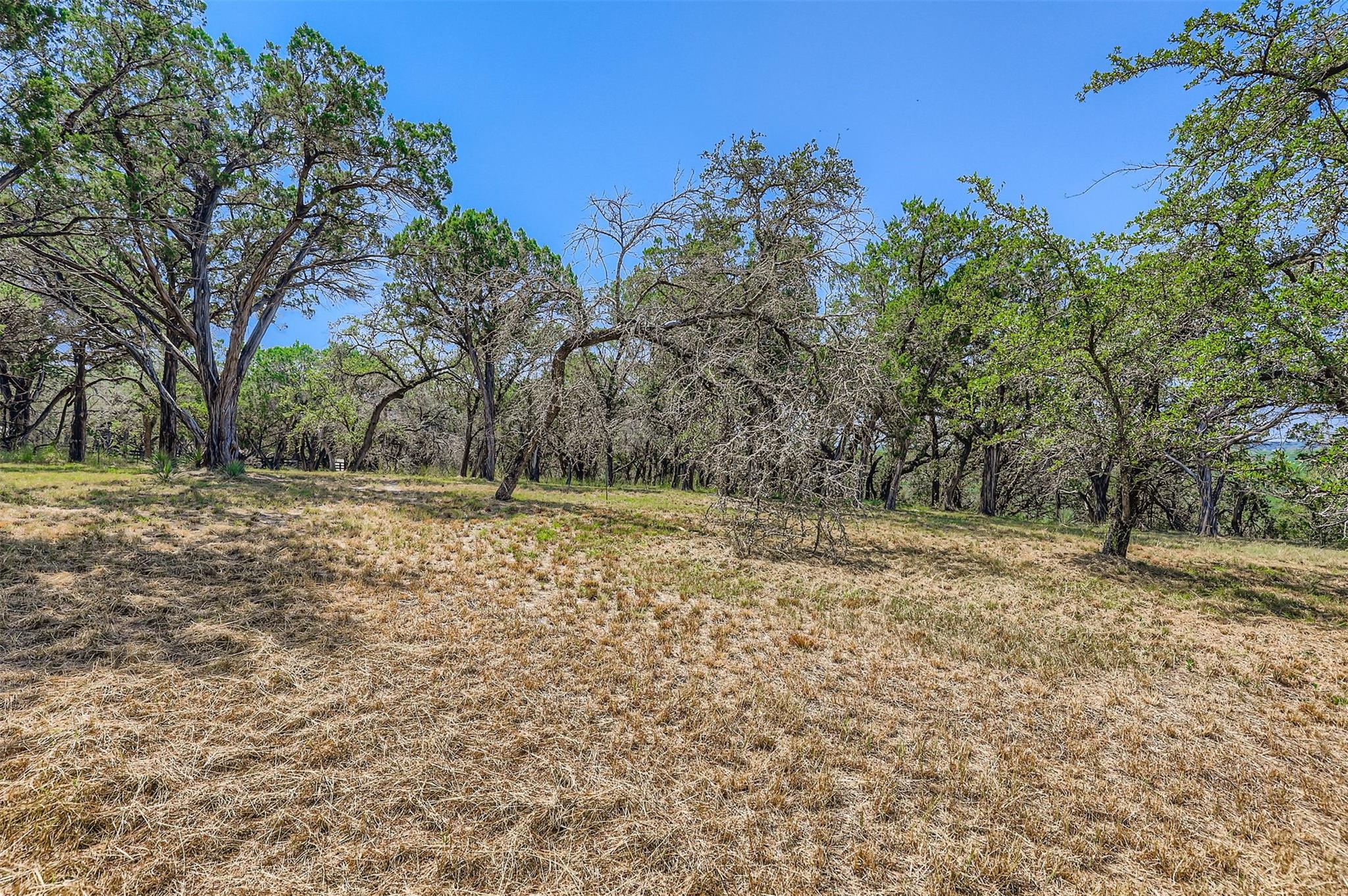 Lot 14-a Carol Cv Property Photo 17