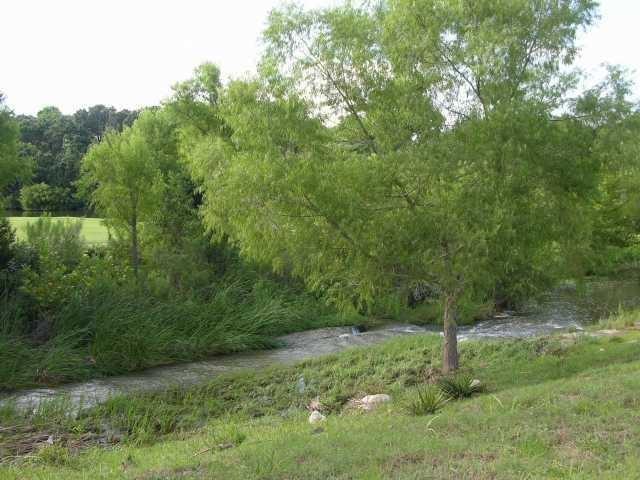 1 Chandon Ln Property Photo 24