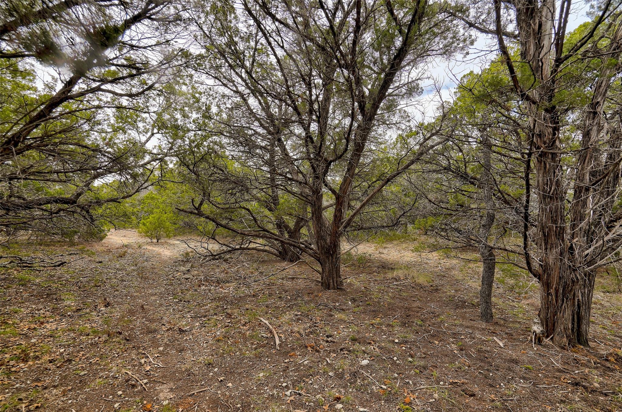 20607 Fawn Ridge Dr Property Photo 6