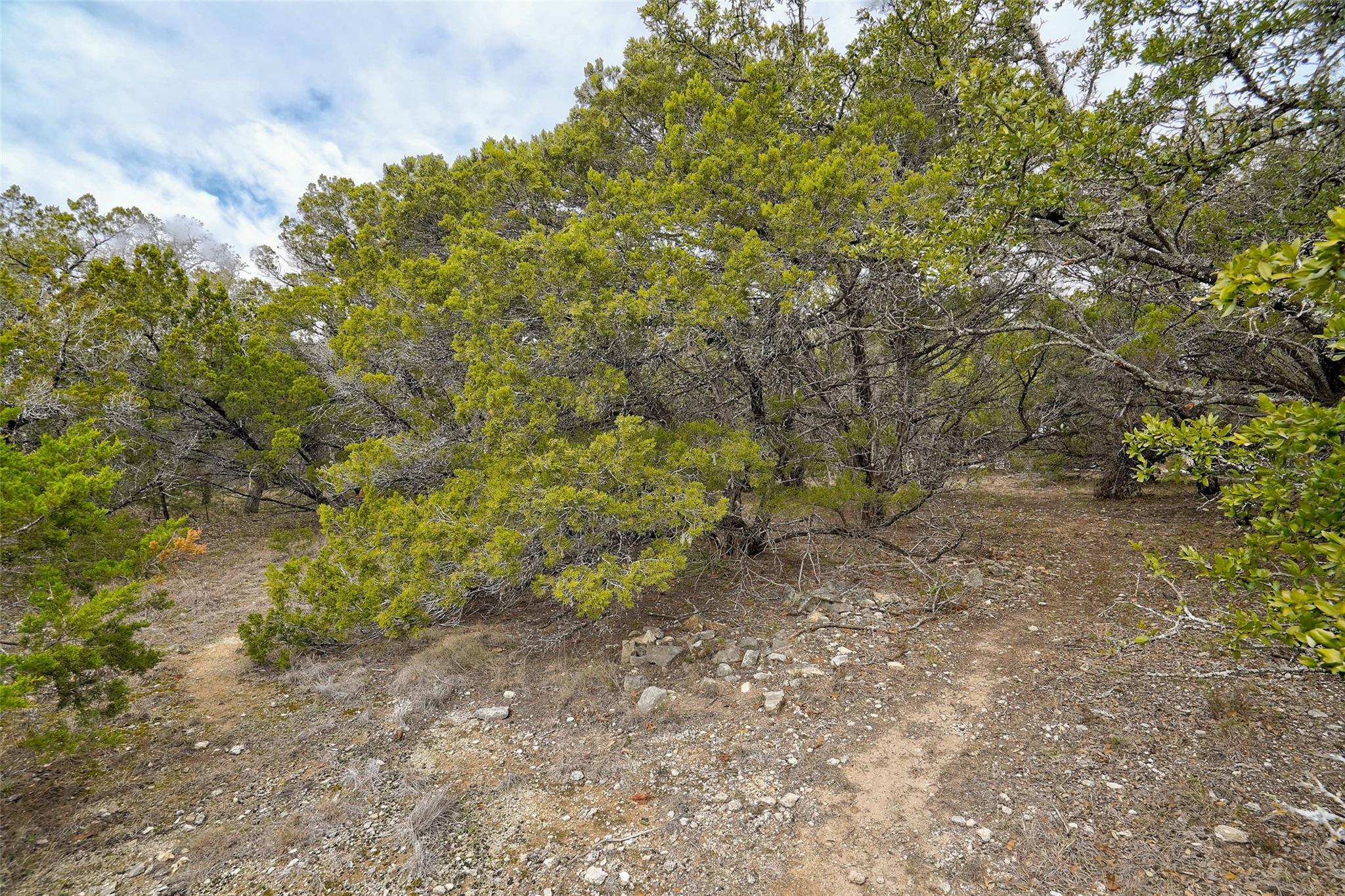20607 Fawn Ridge Dr Property Photo 8