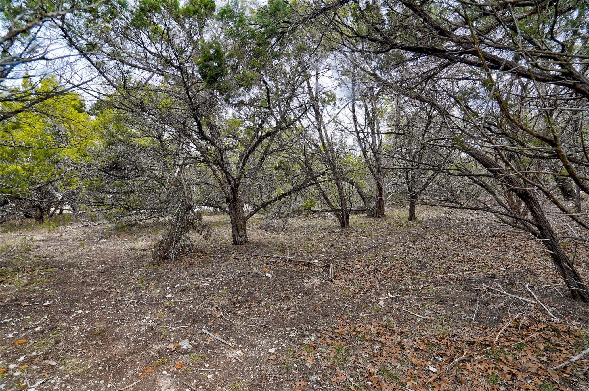 20607 Fawn Ridge Dr Property Photo 9
