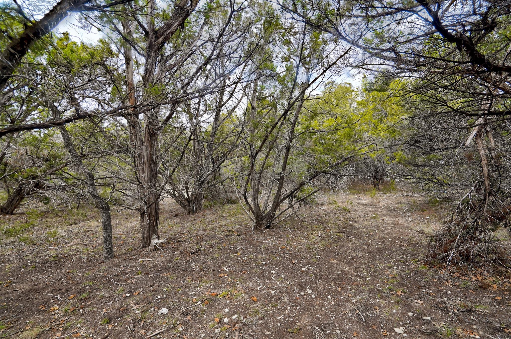 20607 Fawn Ridge Dr Property Photo 10
