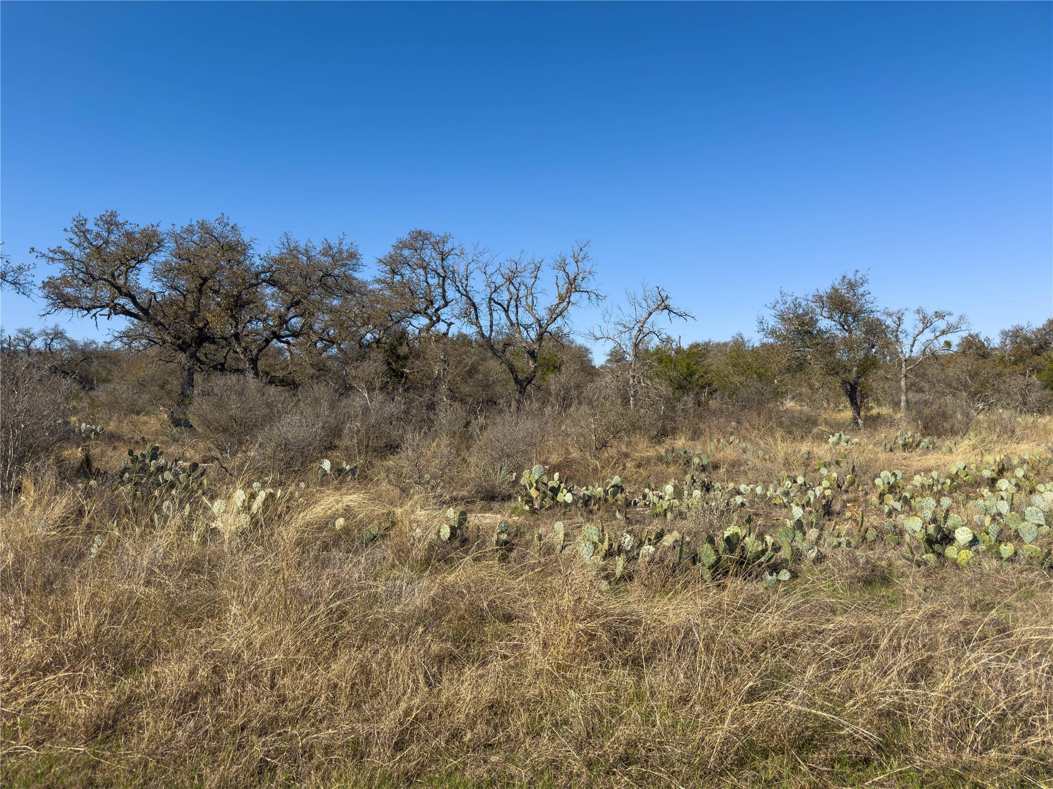 Lot 20 Comanche Rdg Property Photo 26