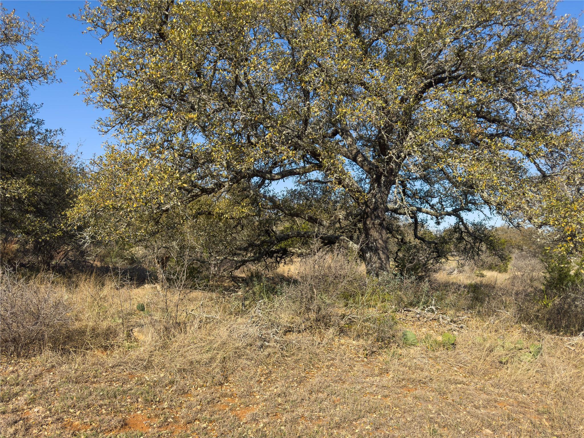 Lot 20 Comanche Rdg Property Photo 27