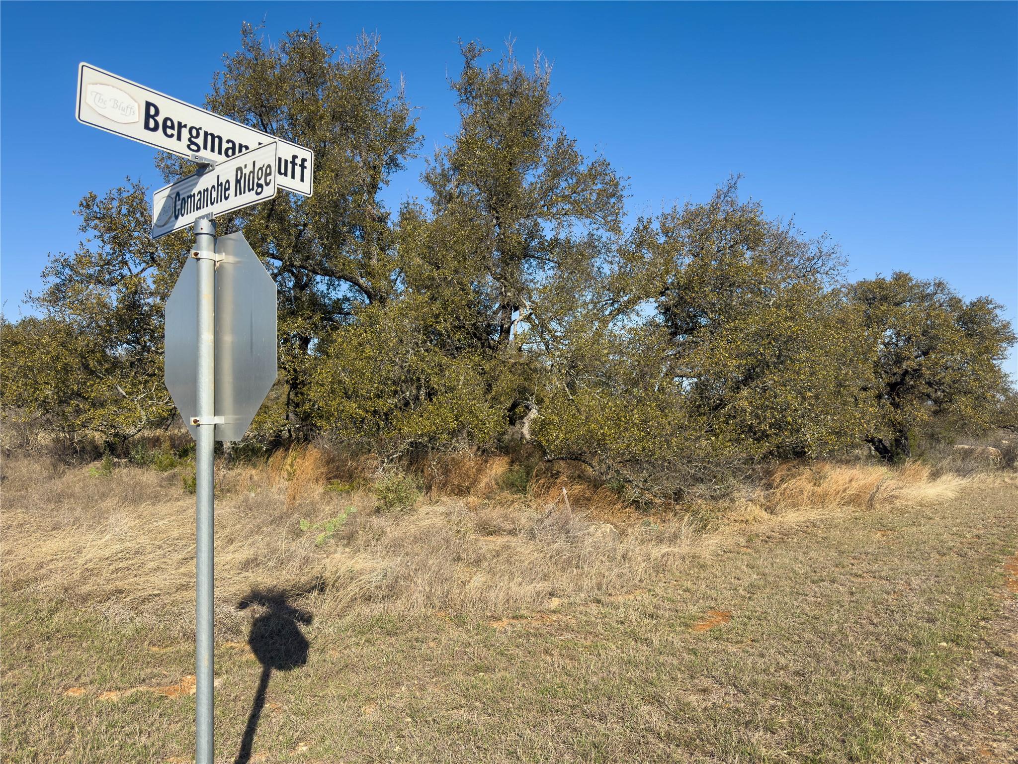 Lot 20 Comanche Rdg Property Photo 29