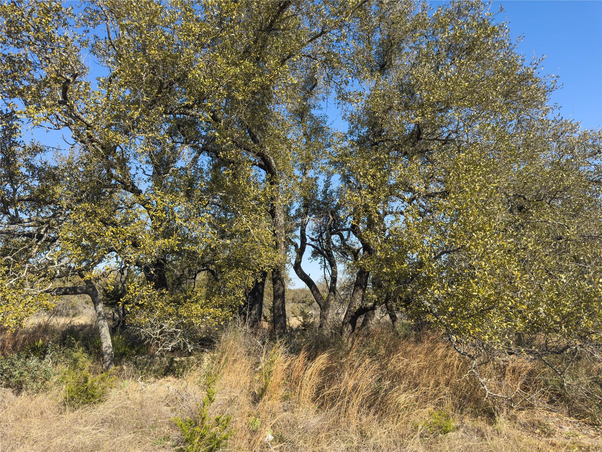 Lot 20 Comanche Rdg Property Photo 30