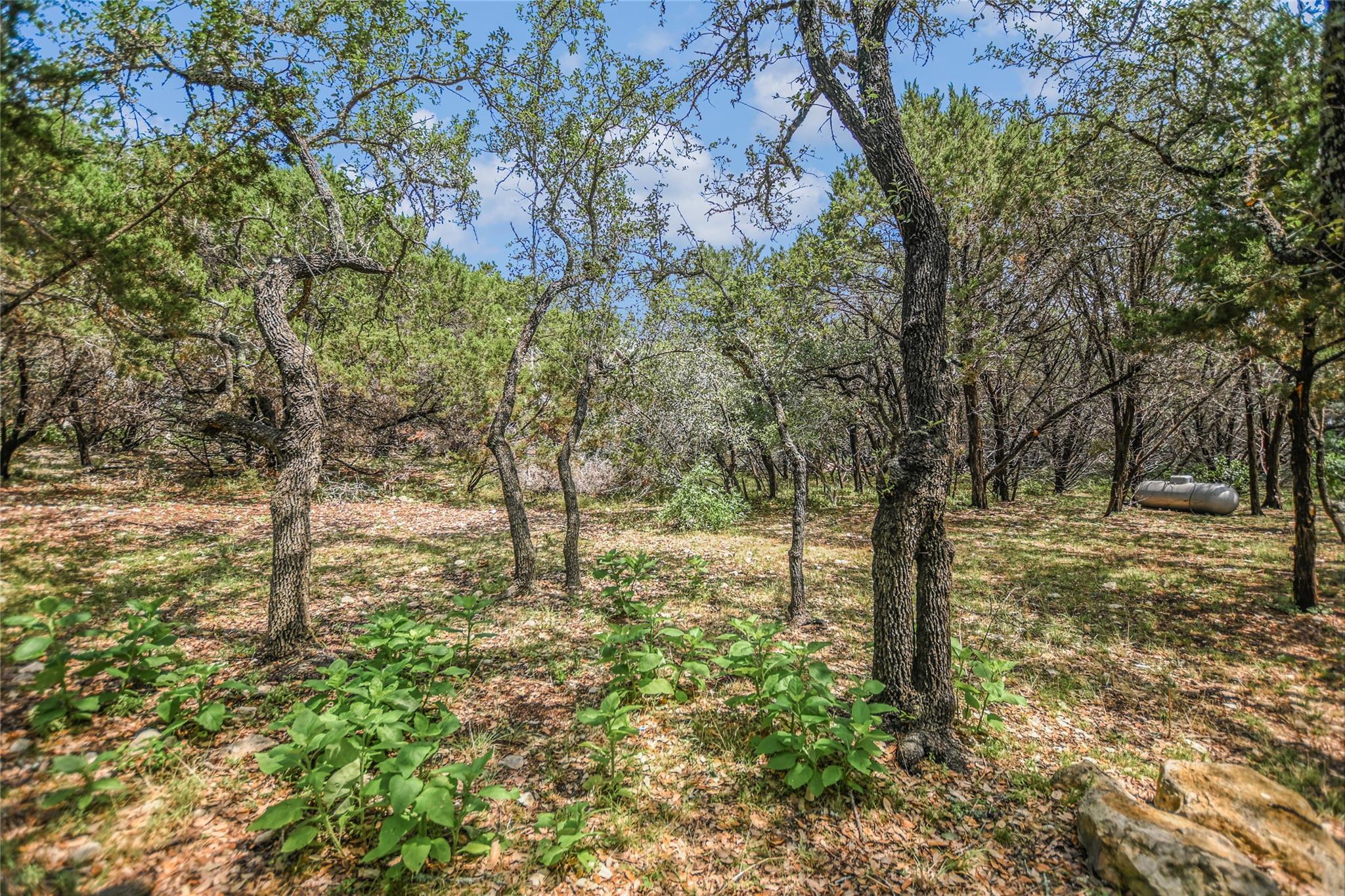 264 Hill Country Trl Property Photo 26