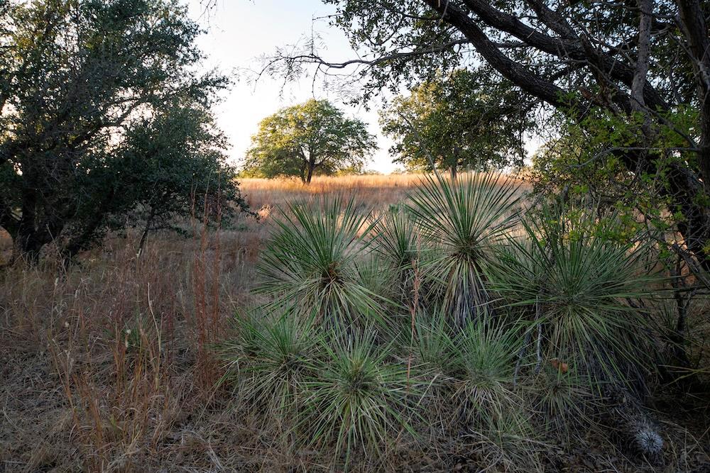 9601645 Property Photo 4