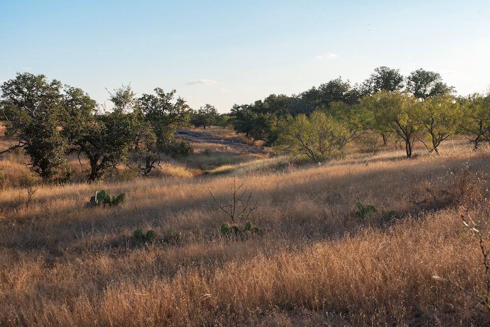 9601645 Property Photo 11