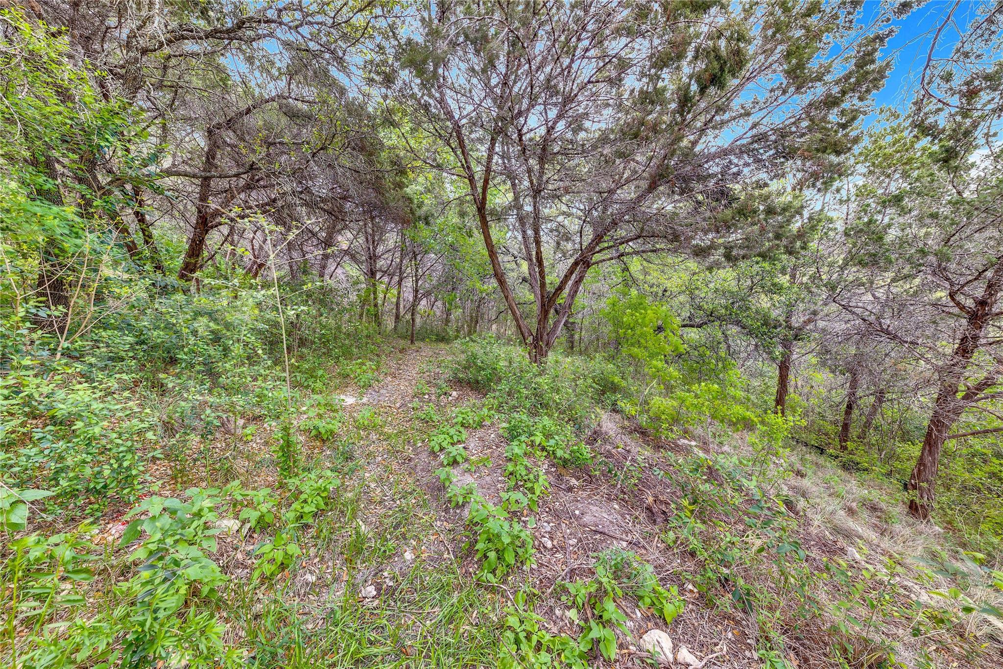 14712 Broken Bow Trl Property Photo 11