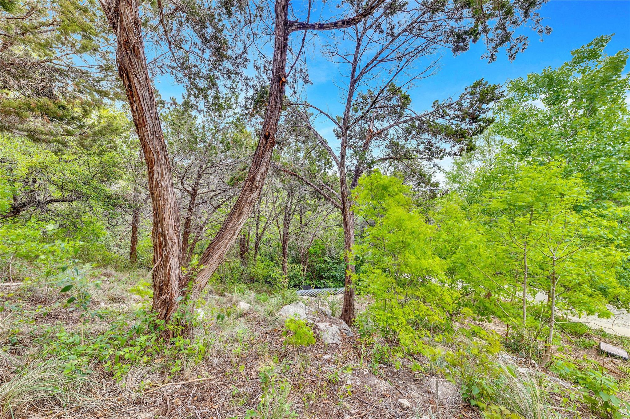 14712 Broken Bow Trl Property Photo 12