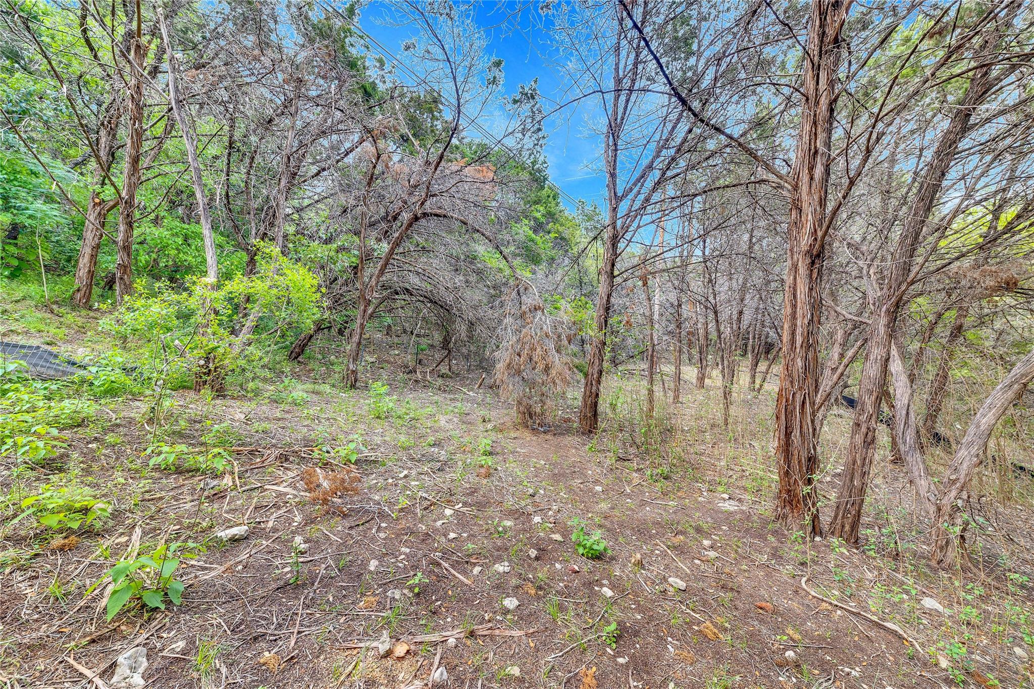 14712 Broken Bow Trl Property Photo 13