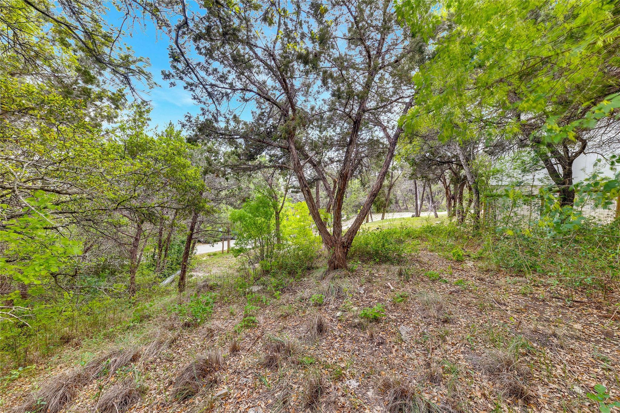 14712 Broken Bow Trl Property Photo 15