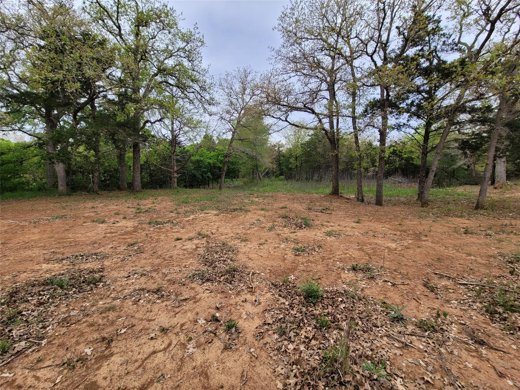 160 Arbor Hill Way Property Photo 3