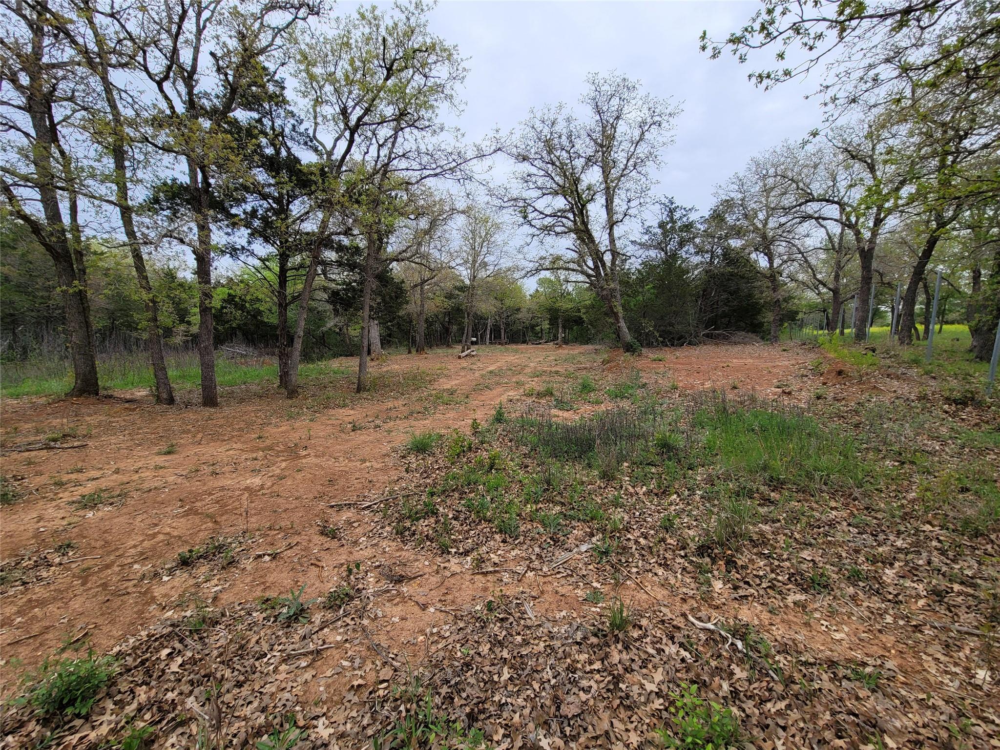 160 Arbor Hill Way Property Photo 4