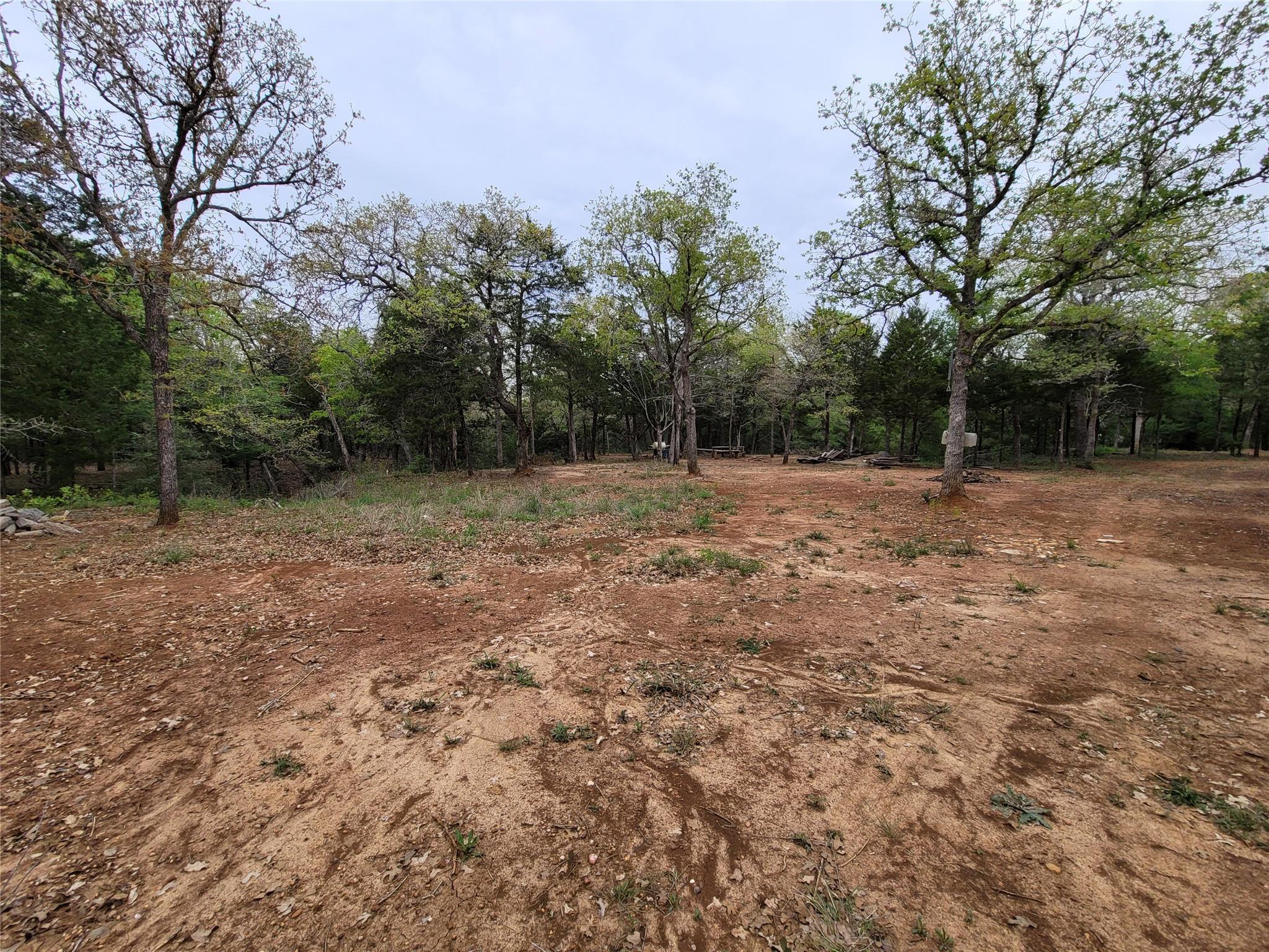 160 Arbor Hill Way Property Photo 10