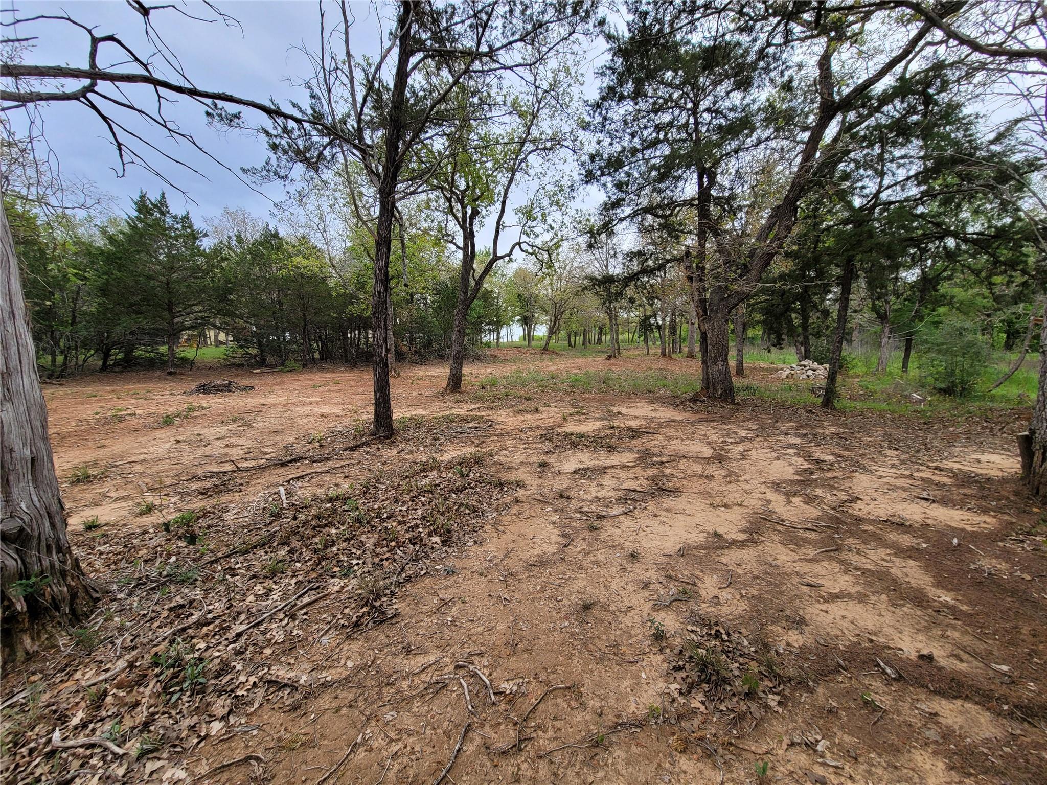 160 Arbor Hill Way Property Photo 12