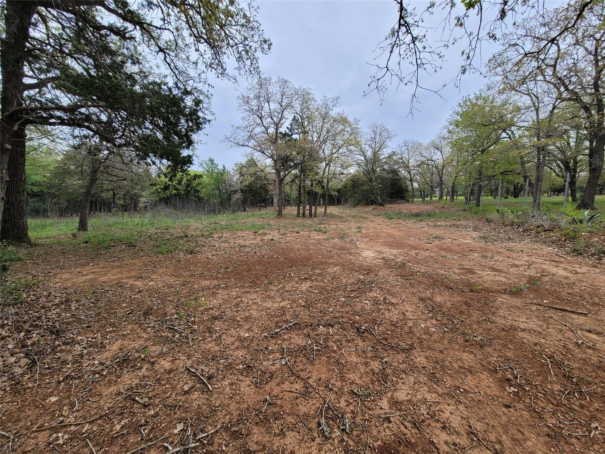 160 Arbor Hill Way Property Photo 13