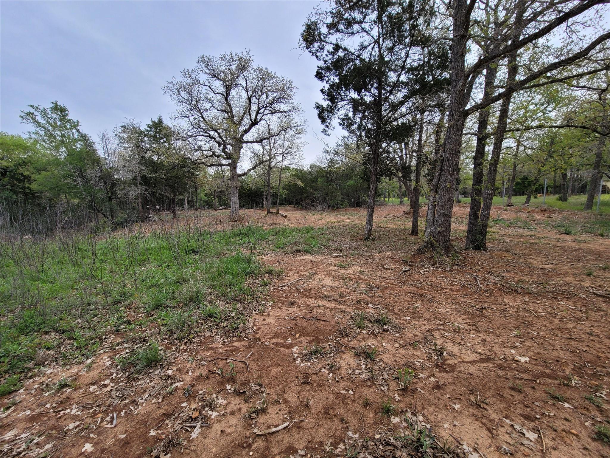 160 Arbor Hill Way Property Photo 14