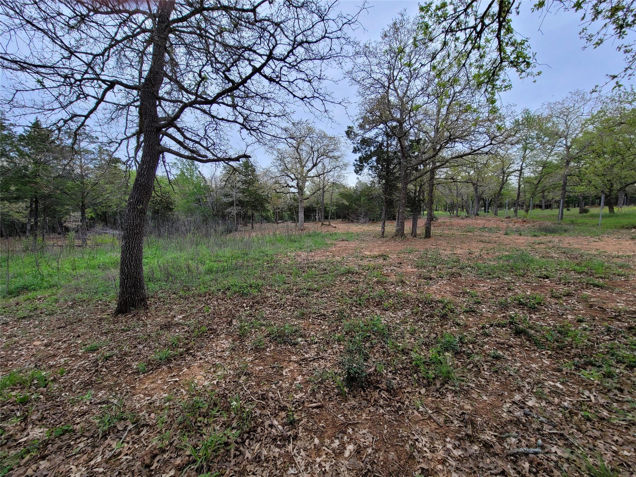 160 Arbor Hill Way Property Photo 15