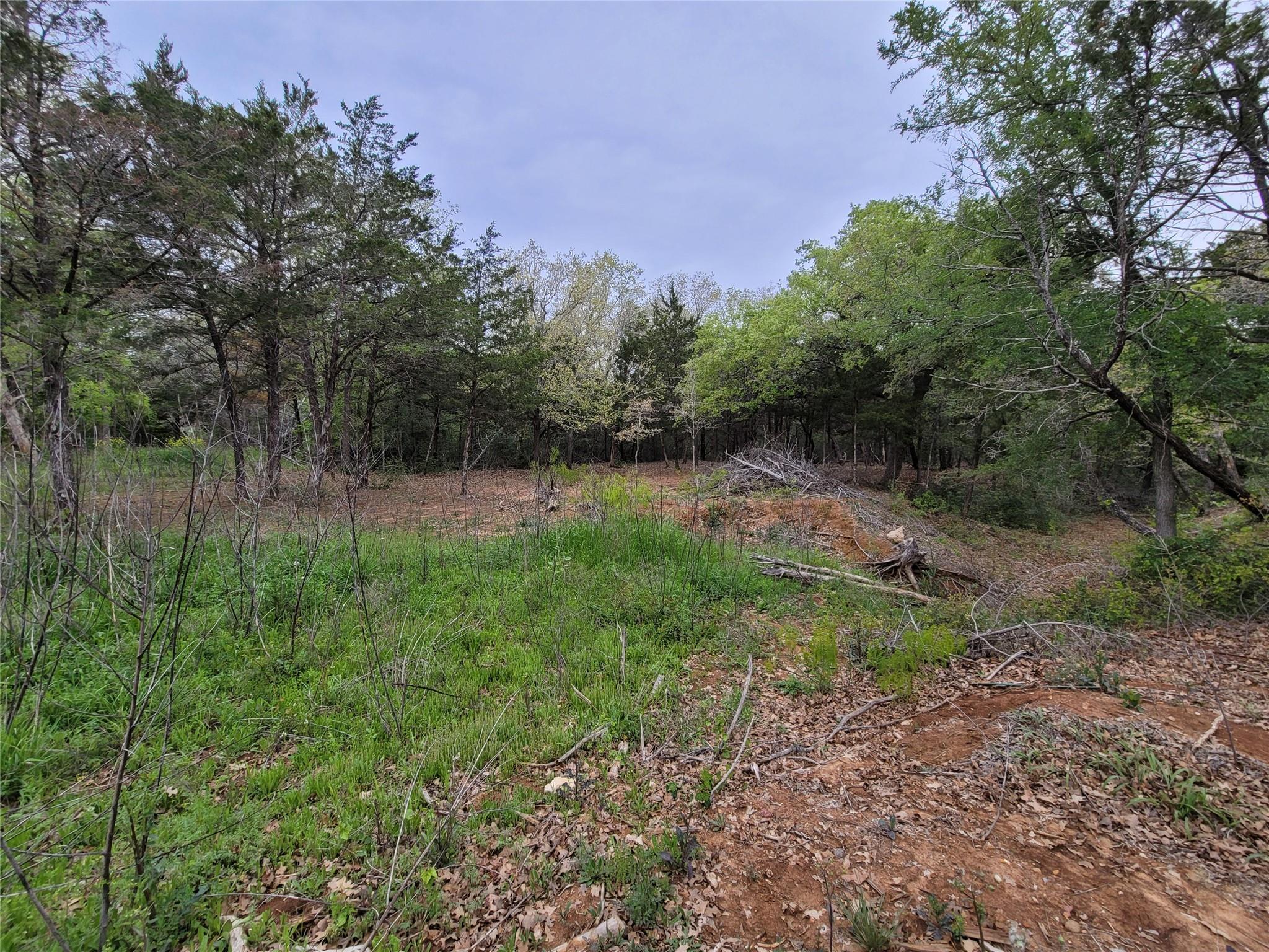 160 Arbor Hill Way Property Photo 16