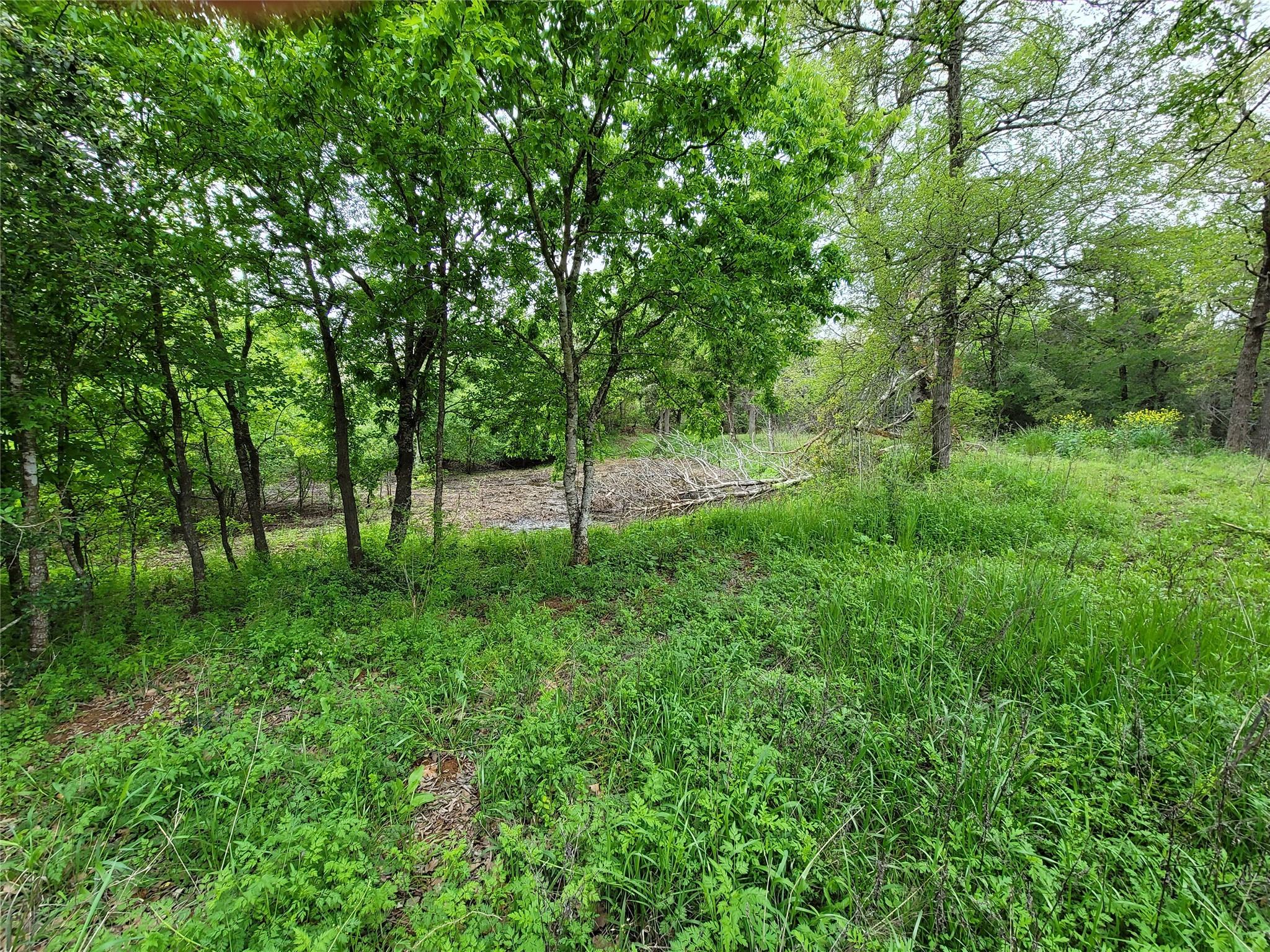 160 Arbor Hill Way Property Photo 17