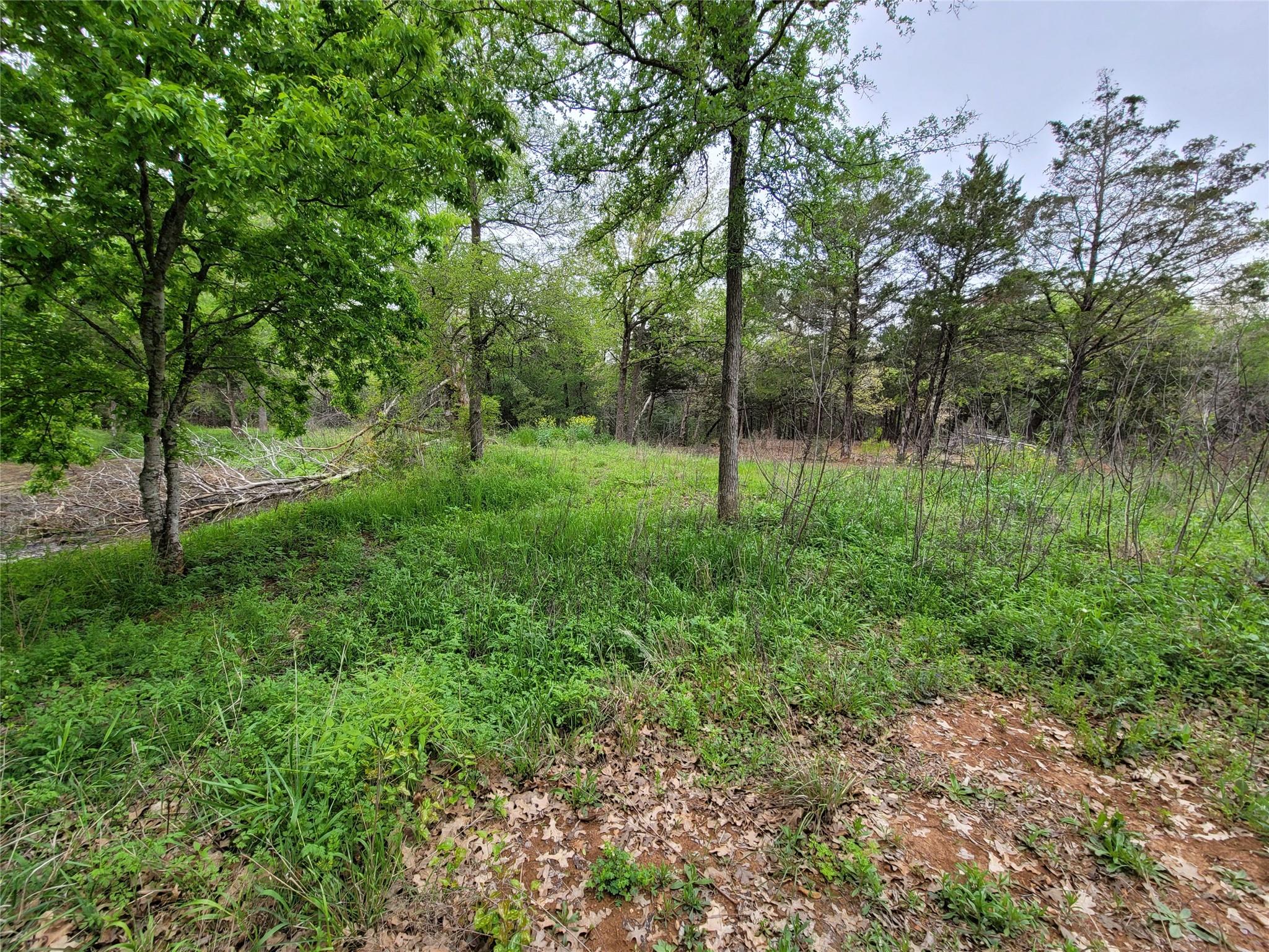160 Arbor Hill Way Property Photo 18