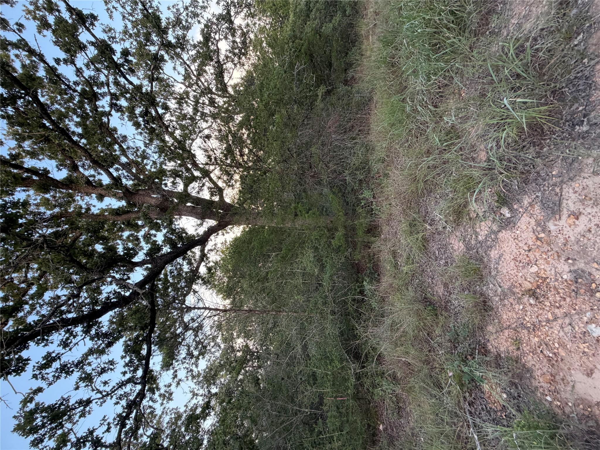 Lot 4 Spruce St Property Photo 2