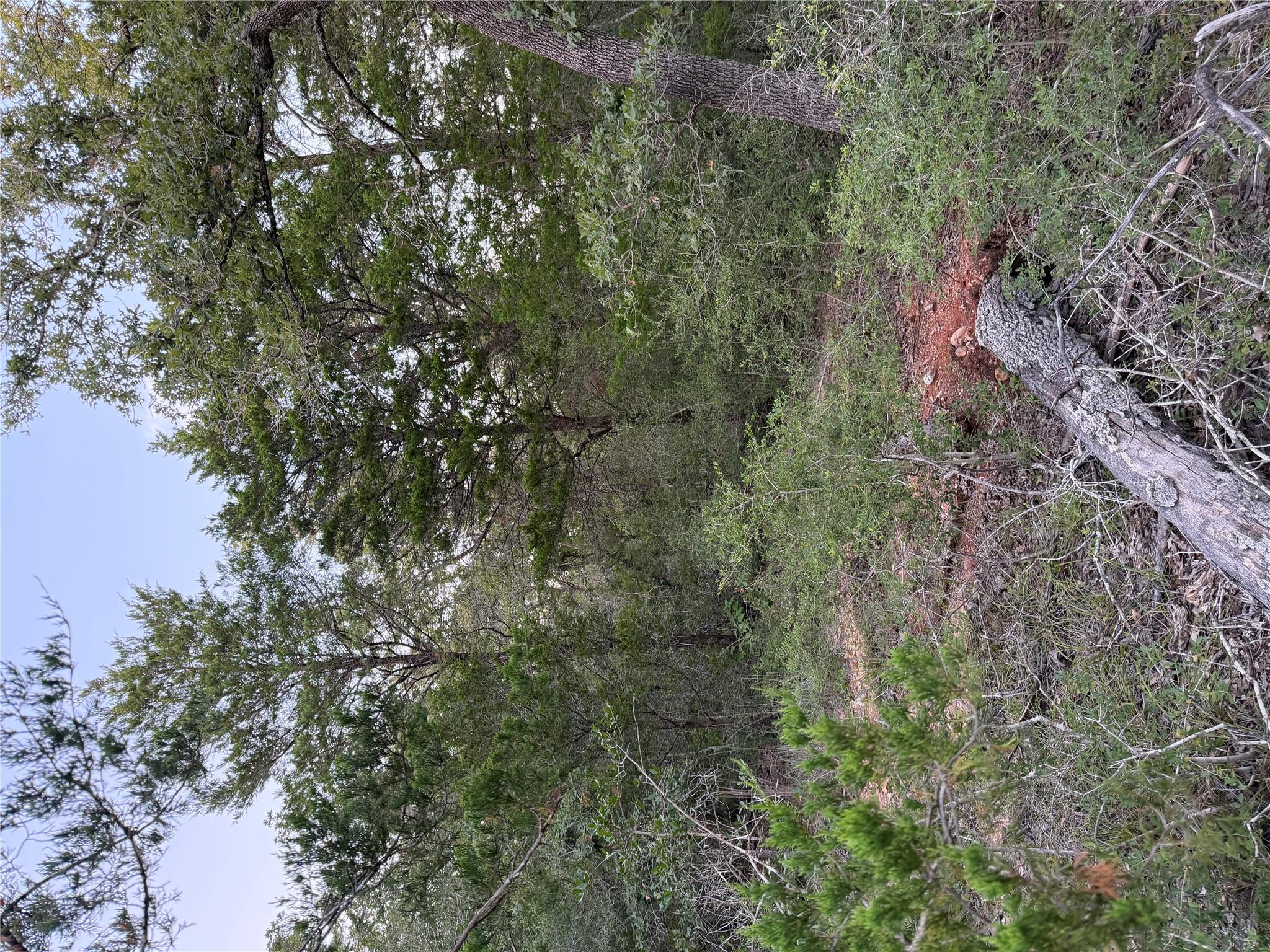 Lot 4 Spruce St Property Photo 6