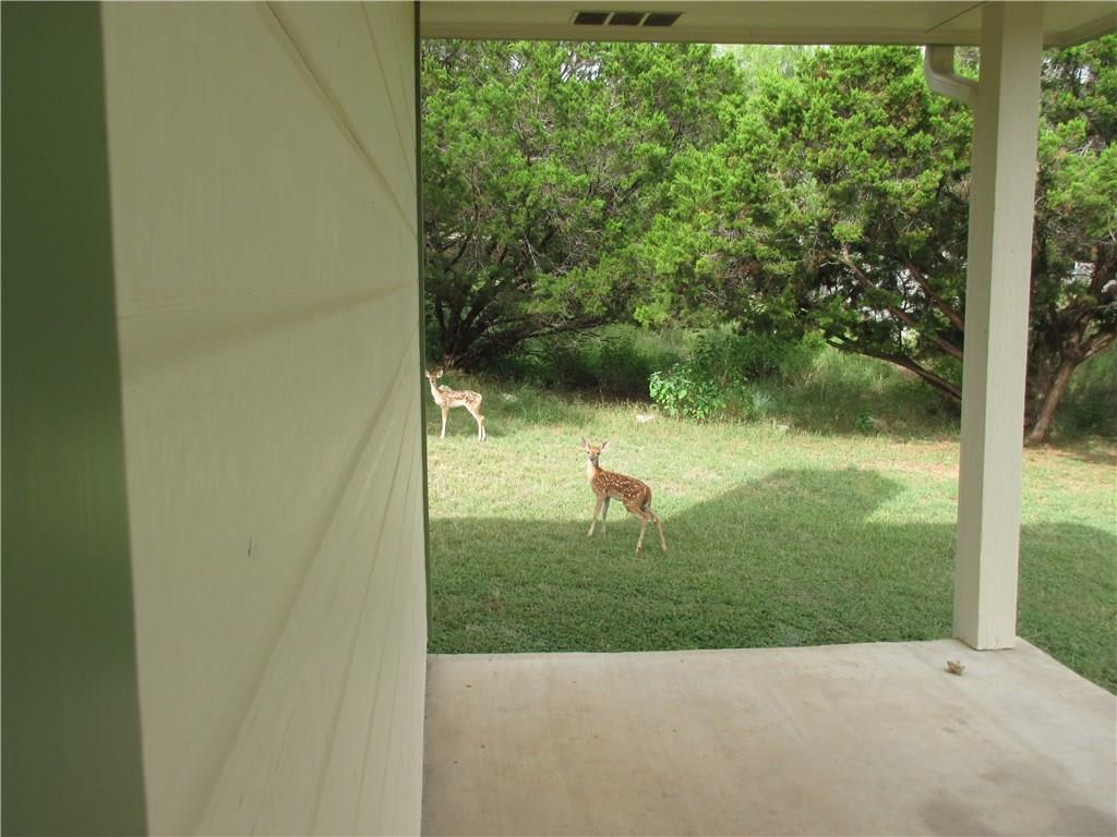 2405 Farragret Cv Property Photo 12
