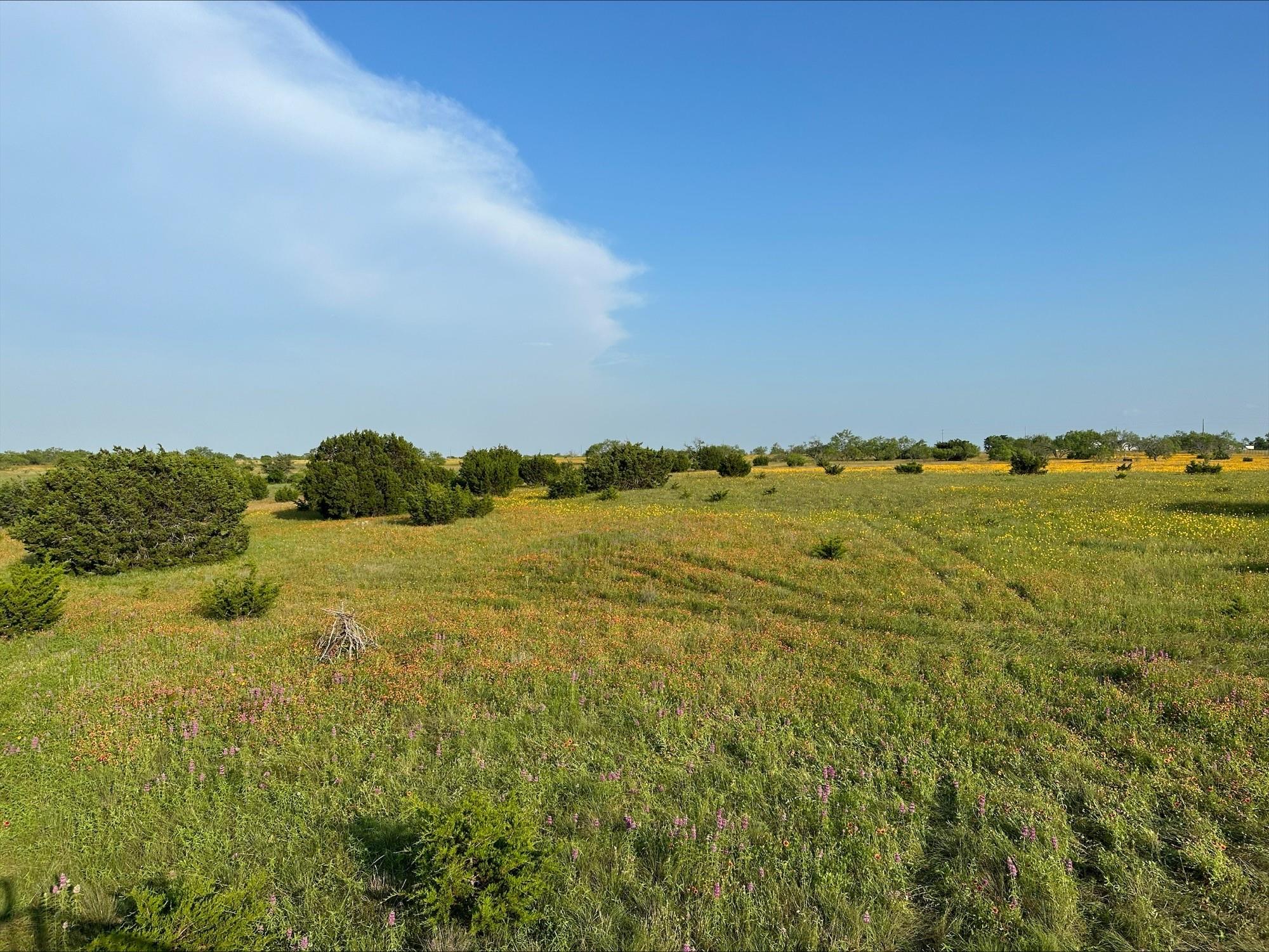 1683 County Road 533 Property Photo 4