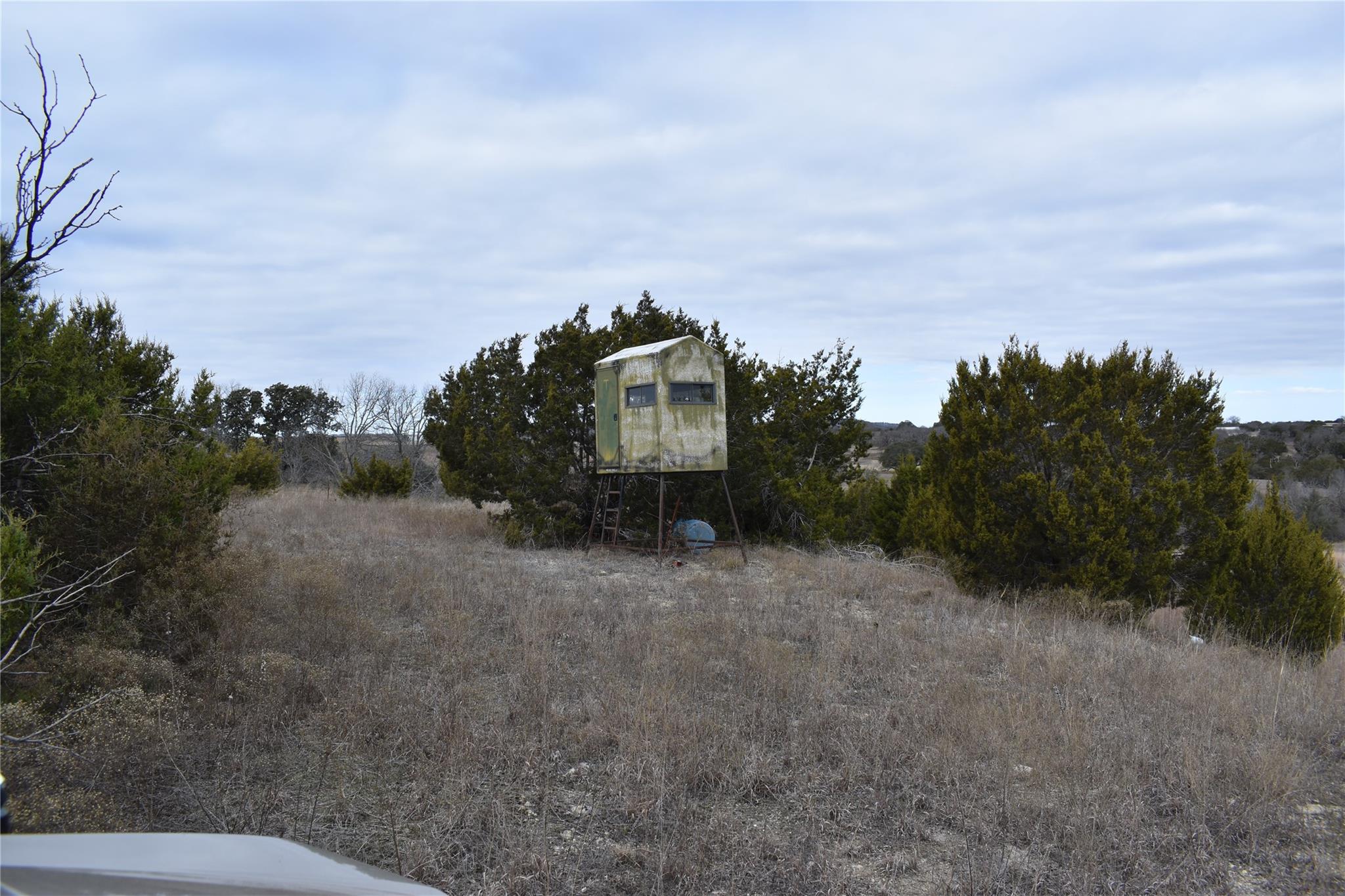 1683 County Road 533 Property Photo 15
