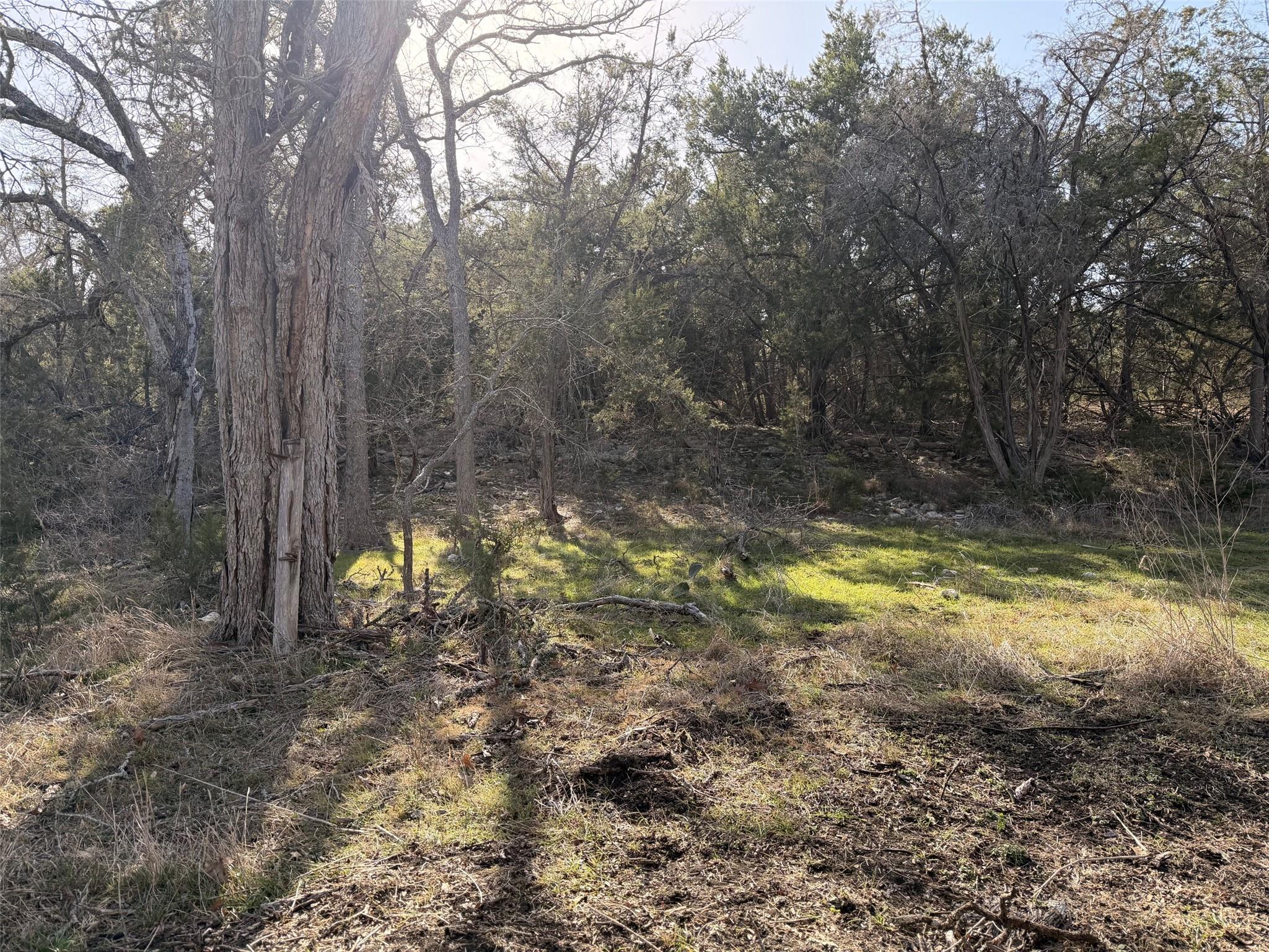 244 Buckskin Pass Property Photo 13