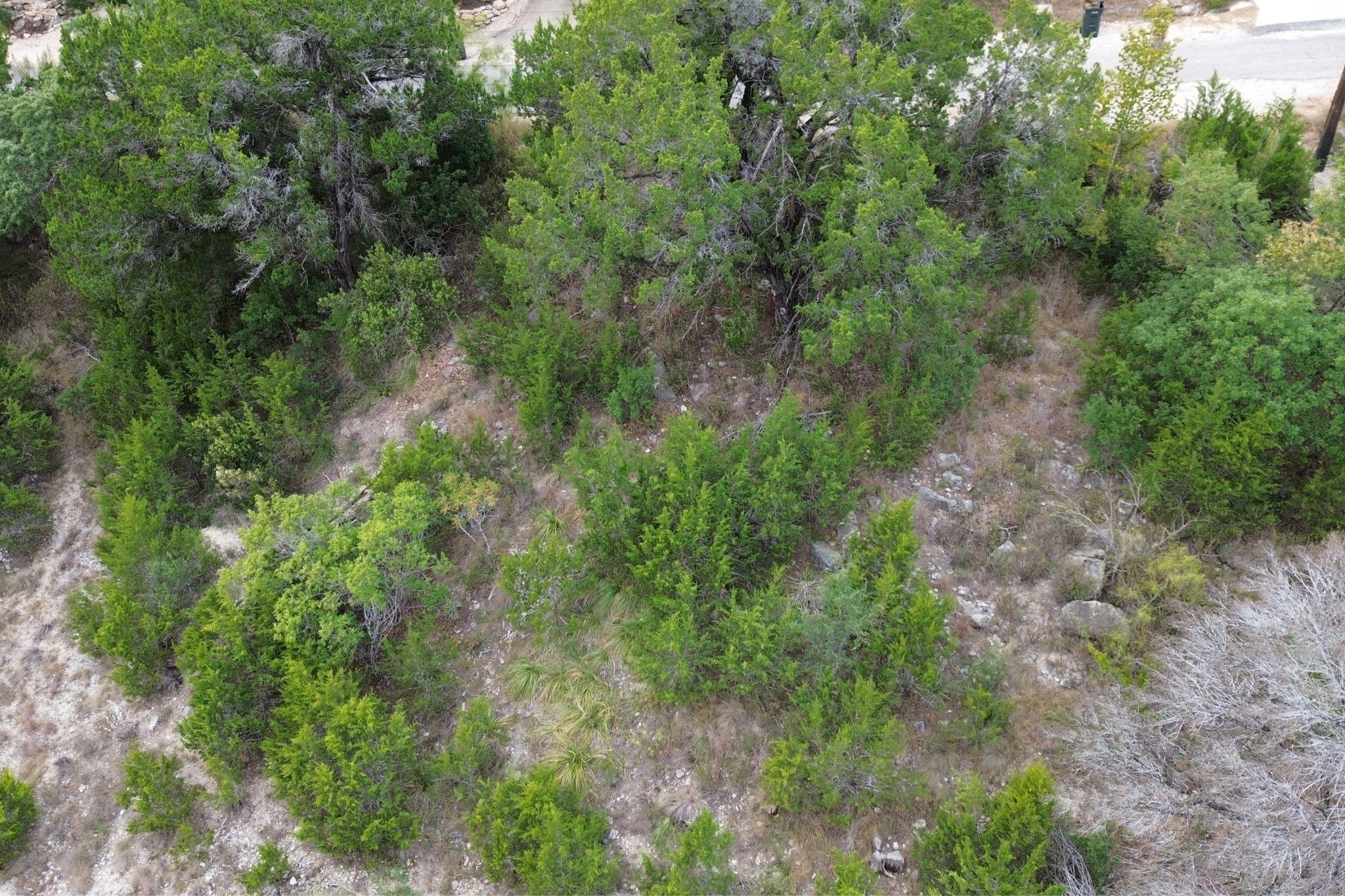 13910 Saskatchewan Dr Property Photo 8