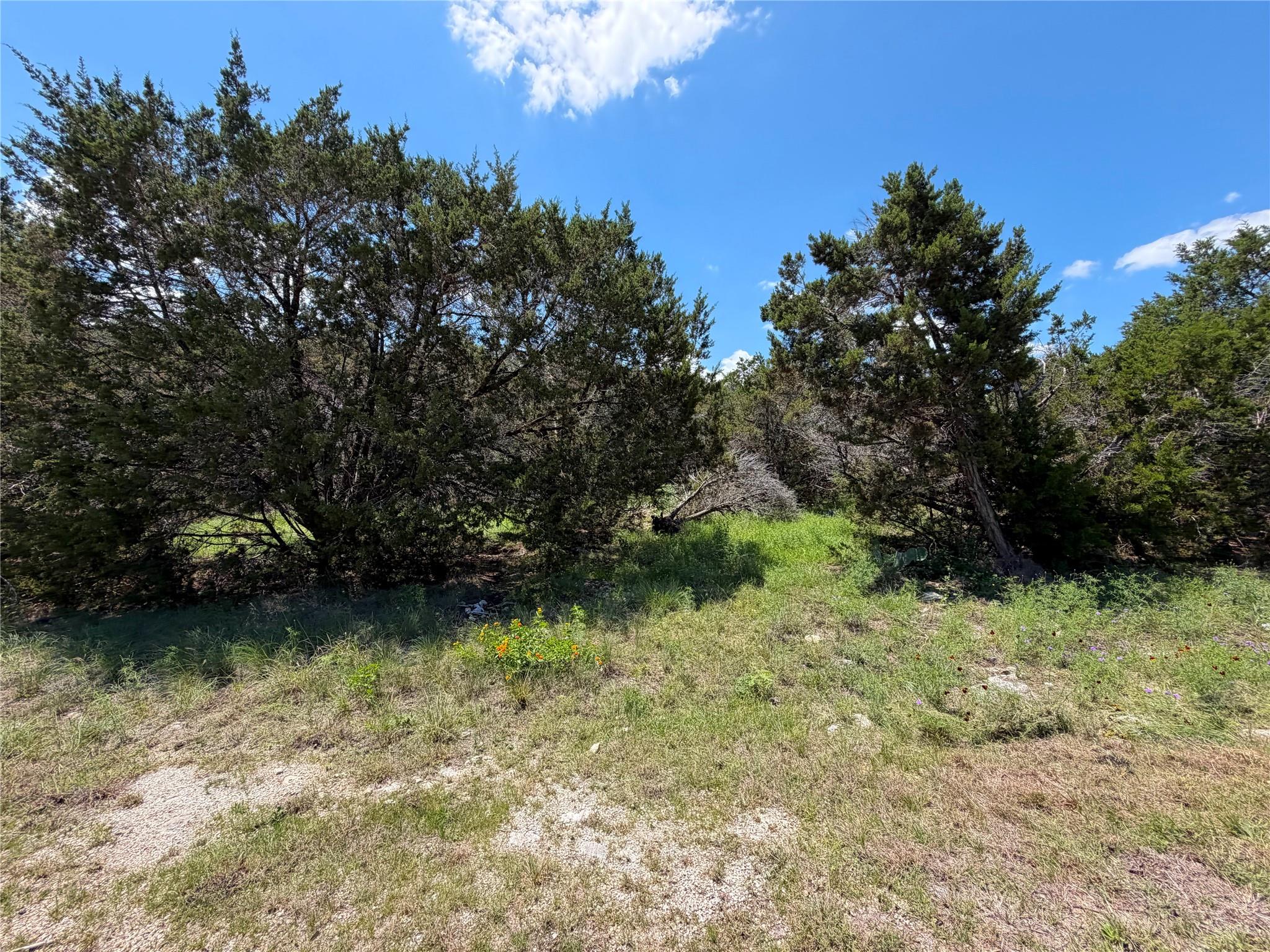 1841 Canyon Lake Dr Property Photo 4