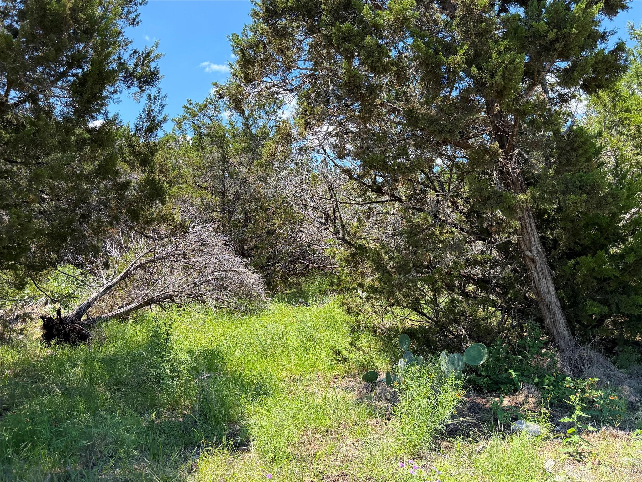 1841 Canyon Lake Dr Property Photo 6