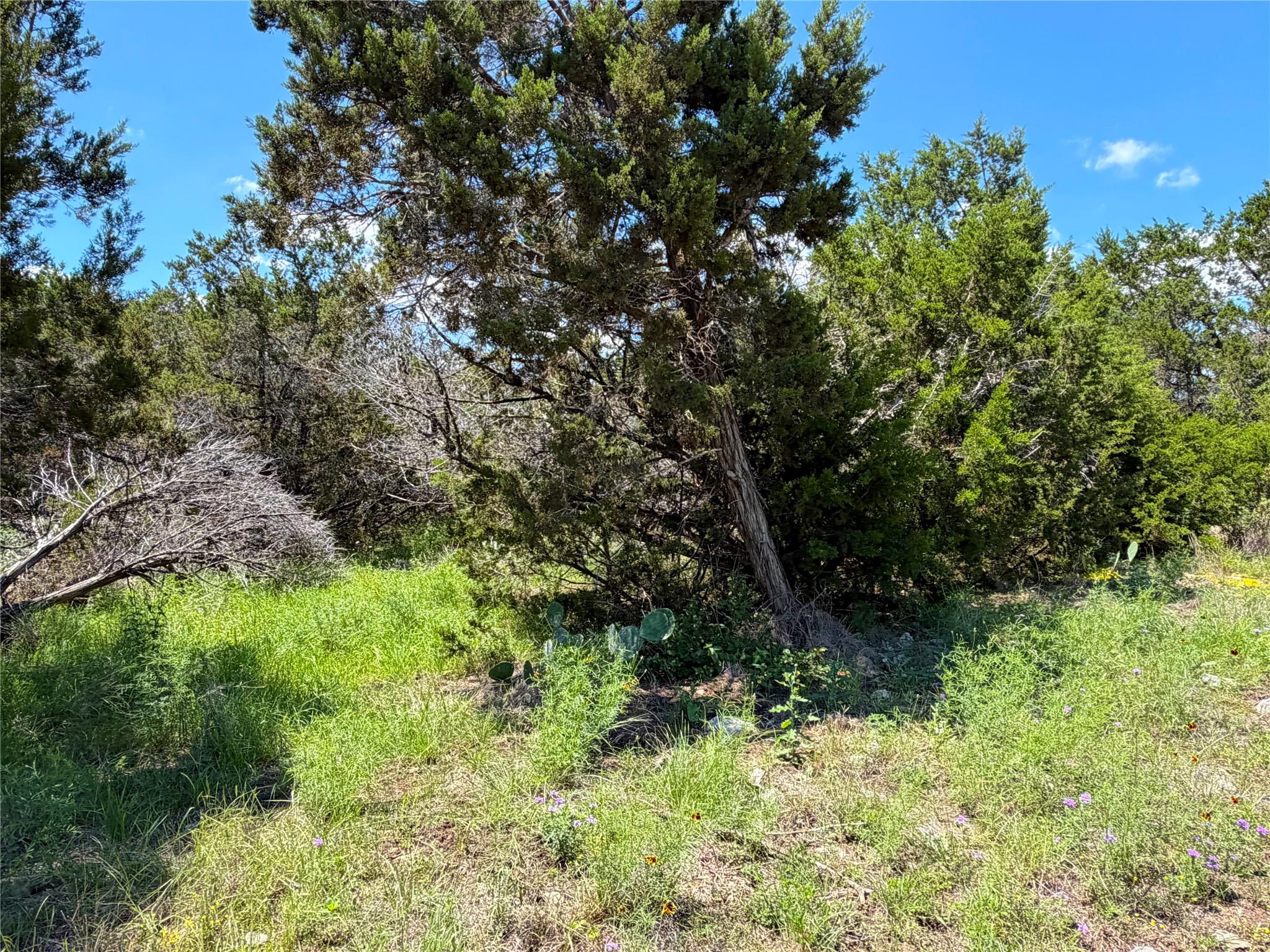 1841 Canyon Lake Dr Property Photo 7