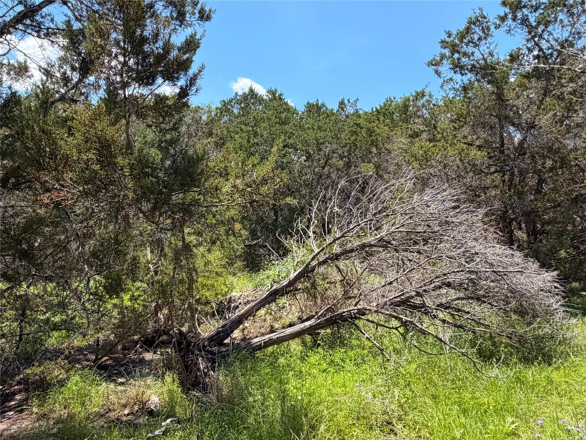 1841 Canyon Lake Dr Property Photo 12