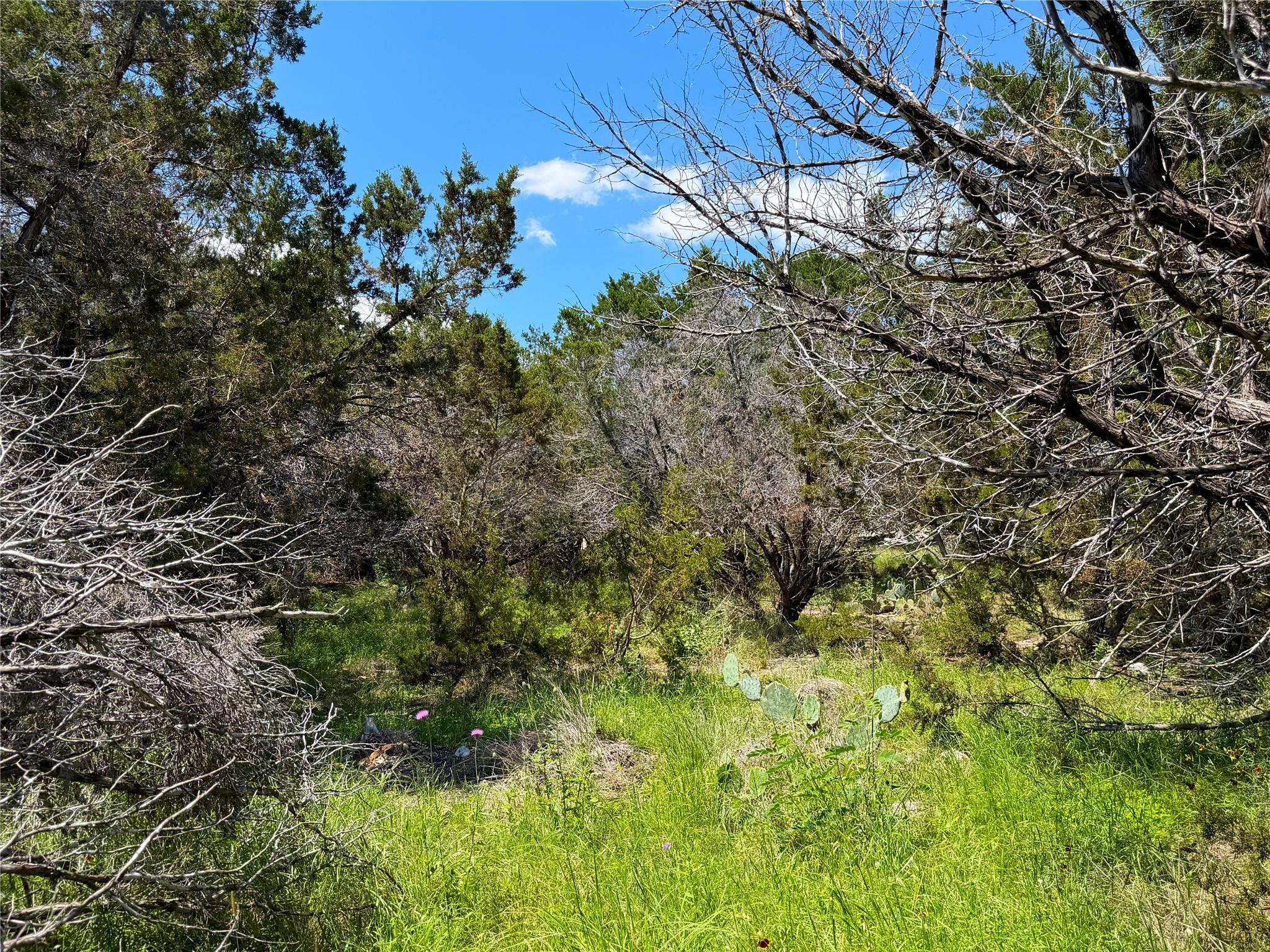 1841 Canyon Lake Dr Property Photo 13