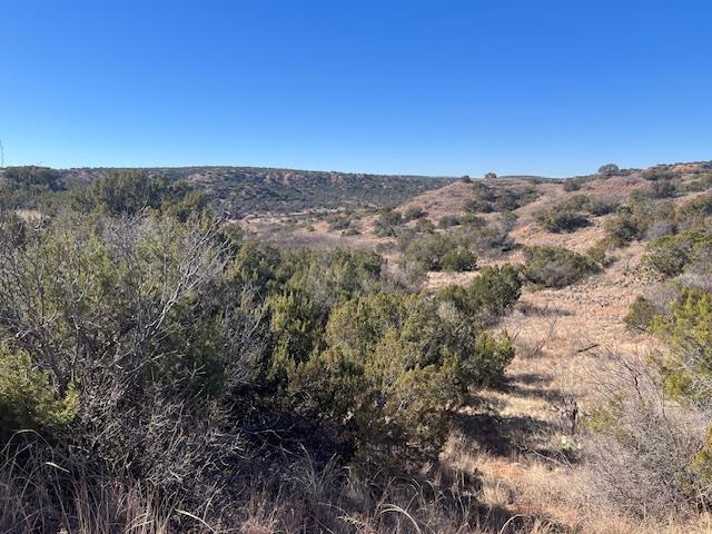 99999 Us 70 Hwy Property Photo 9