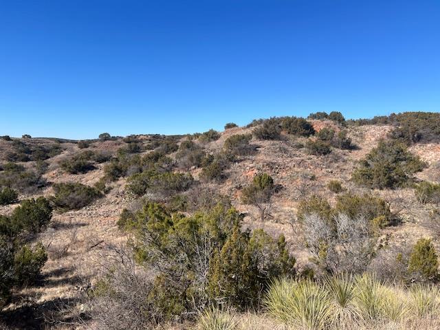 99999 Us 70 Hwy Property Photo 10